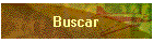 Buscar